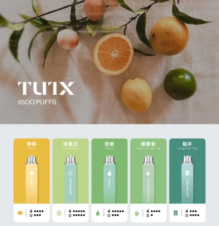 TUTX 6500口一次性電子煙 大容量 免充電 新品拋棄式